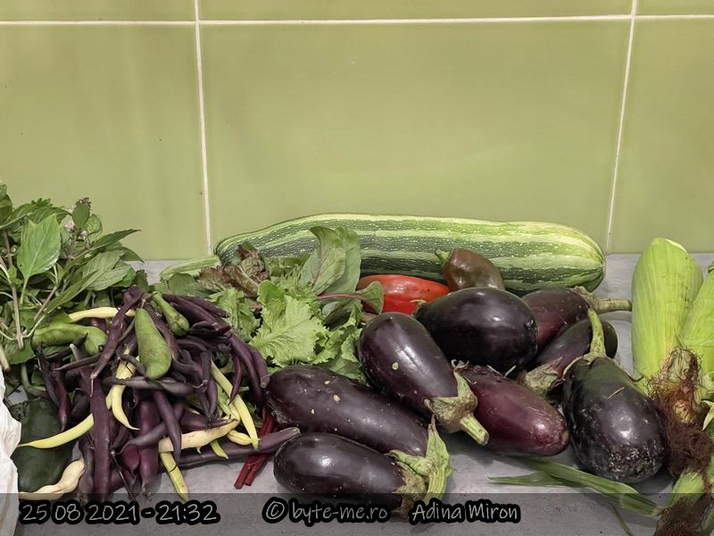 Productie de la finalul lunii August 2021 