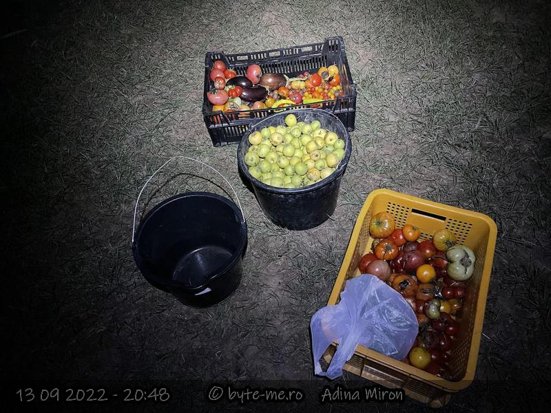 Recolta din Septembrie 2022