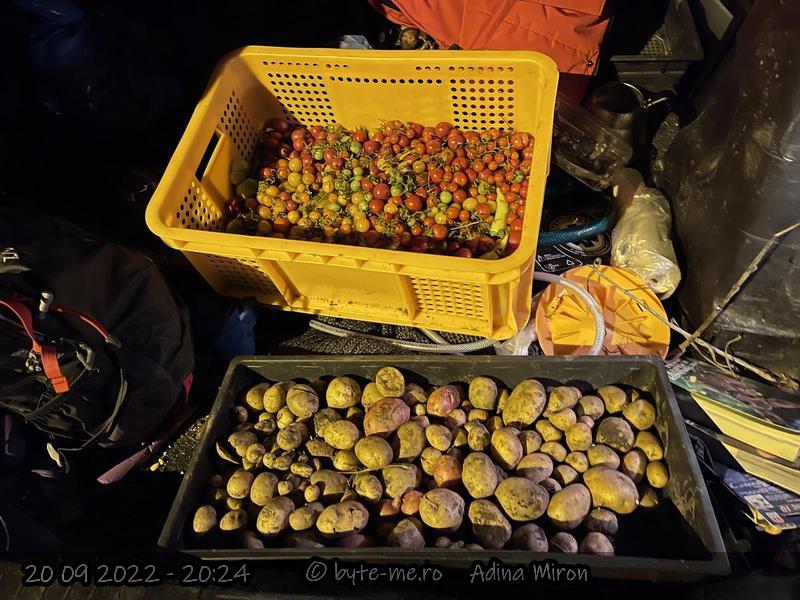 Recolta din Septembrie 2022