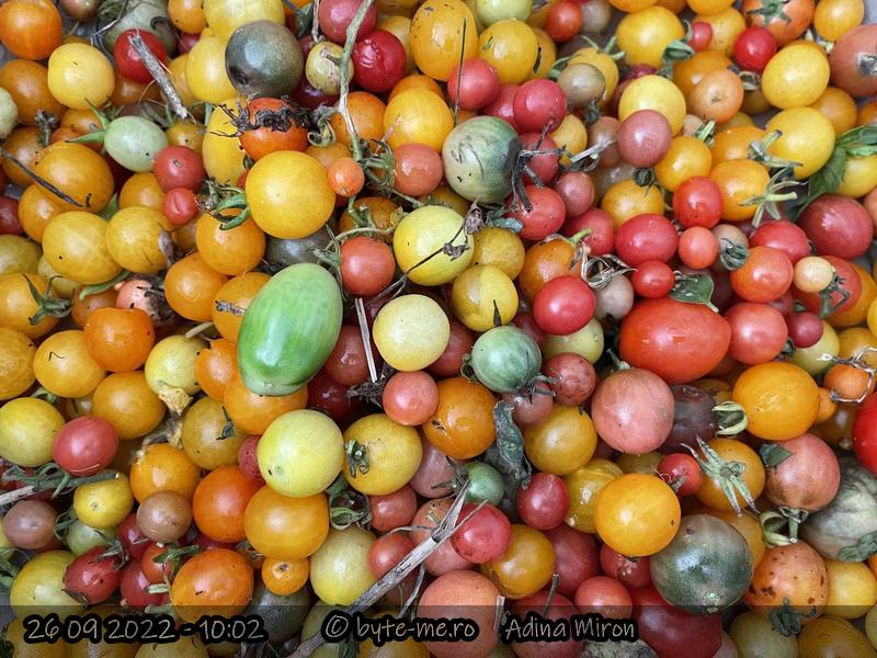 Recolta din Septembrie 2022