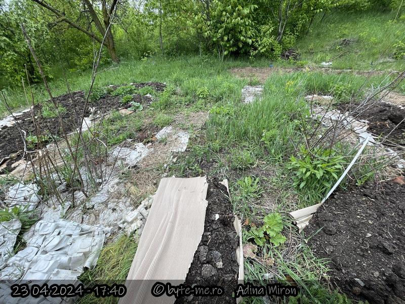 Adaugarea unui strat de carton si a unui strat de mranita in Gradina Padure, pentru a mai reduce din presiunea buruienilor