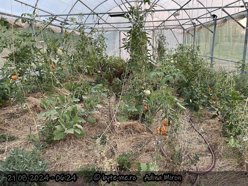 Solarul mare – vedere din Sud