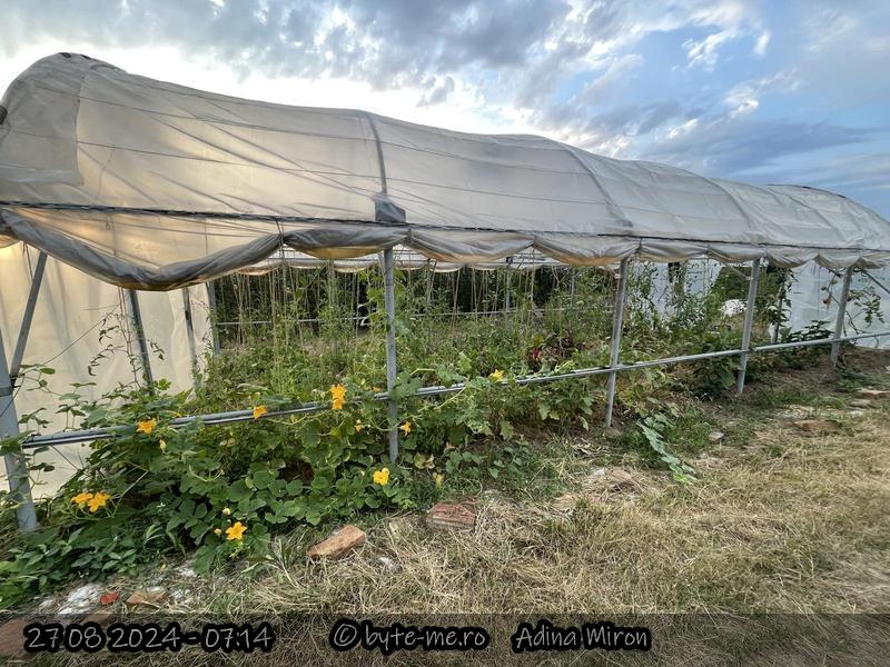 Solarul Mare incarcat de plante 